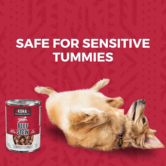 KOHA Minimal Ingredient Beef Stew for Dogs, High Protein Limited Ingredient Dog Food, 12.7oz Cans (Case of 12)