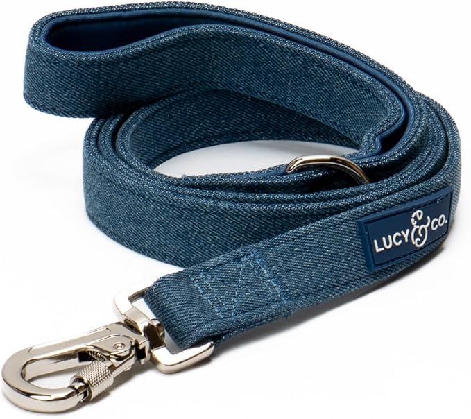 Lucy & Co. 5 Foot Designer Dog Leash for Small, Medium or Big Dogs or Puppies Puppy – Pet Accessories & Supplies- Large-Blue Denim