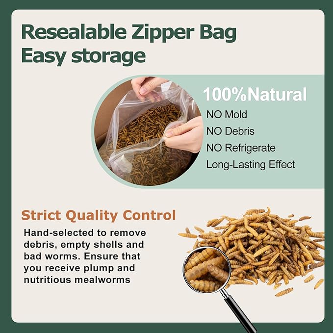 10LB Dried Black Soldier Fly Larvae for Chickens - Non-GMO Insect Larvae Treats More Calcium Than Mealworms, High Protein Chicken Feed for Backyard Poultry - BSFL, Bird Food, Chicken Worms