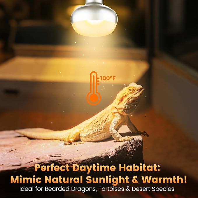 2-Pack 150W Reptile Heat Lamp Bulbs – UVA Daylight Basking Light for Bearded Dragons, Lizards, Turtles, E26 Base
