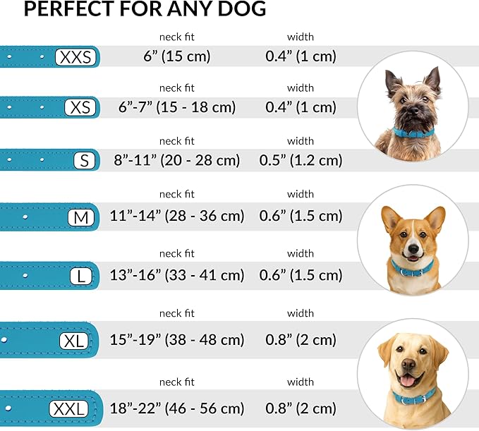 CollarDirect Rolled Leather Dog Collar, Soft Padded Round Puppy Collar, Handmade Genuine Leather Collar Dog Small Large Cat Collars 13 Colors (11-14 Inch, Light Blue)