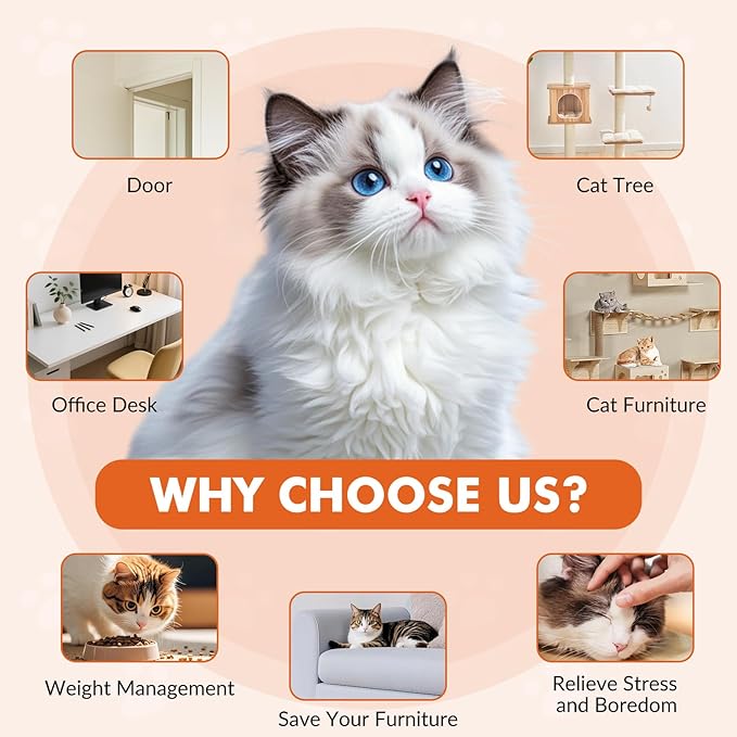 Interactive Cat Toys for Indoor Cats, Automatic Electric Flying Bird Feather Wand Toy, Best Kitten & Adult Cat Enrichment Toy Hanging Electric Kitty Toys for Bored Cats, Orange