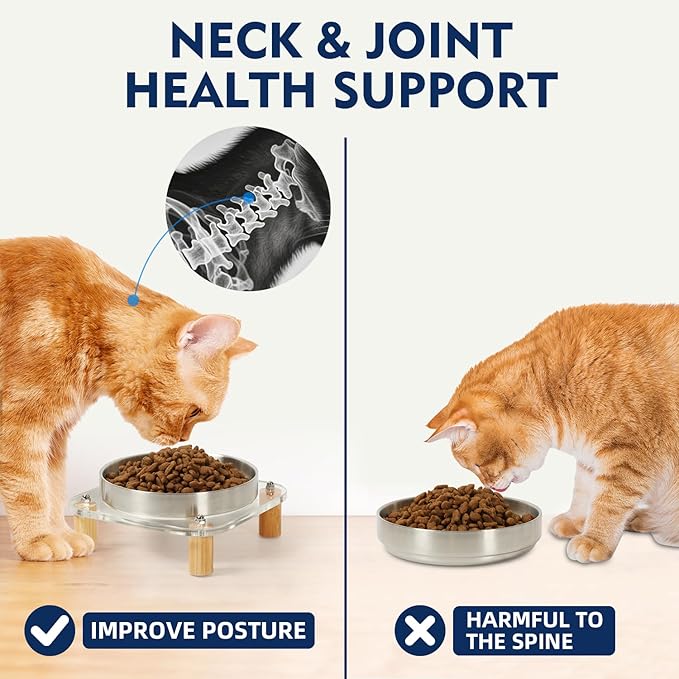 Elevated Cat Bowls for Indoor Cats – Raised Acrylic Cat Bowl Stand with 5.5 Inch Wide Stainless Steel Dishes, Pet Food Table Plate for Easy Feeding, Whisker Friendly(Silver,Set of 2)