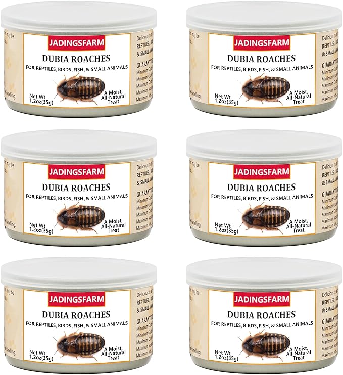 6 Pack Canned Dubia Roaches for Reptiles, Birds and Small Animals, Dubia Roaches, Healthy High Protein Treat, Reptile Food 7.2 Ounces Total