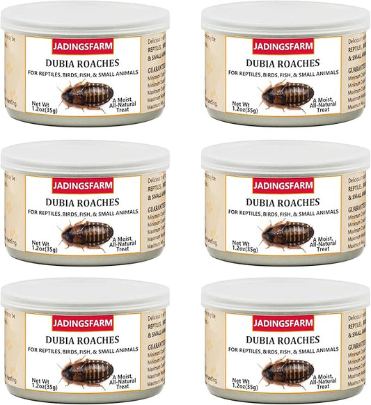 6 Pack Canned Dubia Roaches for Reptiles, Birds and Small Animals, Dubia Roaches, Healthy High Protein Treat, Reptile Food 7.2 Ounces Total