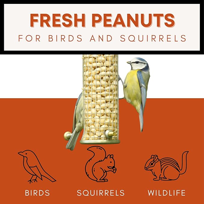 Fresh Shelled Peanuts for Birds & Squirrels - Raw Wildlife Peanuts, No Mess Bird Seed, No Waste Bird Seed for Wild Birds & Backyard Squirrels (35lbs)