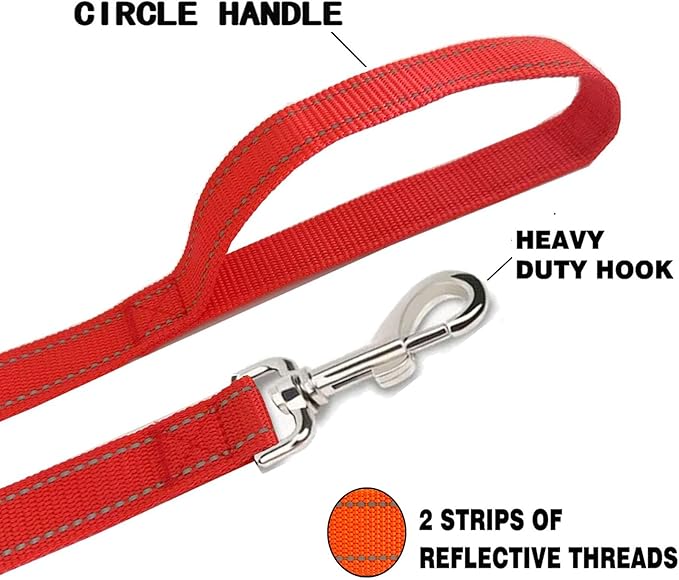 Reflective Dog Leash 4Ft /6 Feet Long, 3/4 Inch Wide, for Small and Medium Dogs