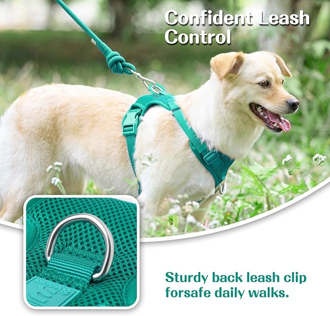 No Pull Dog Harness for Small Medium Large Dogs - Adjustable Two-Layer Mesh Dog Vest with Dual Clip, Escape Proof, Quick Release, Lightweight Breathable Mesh for Walking Hiking (MARRS Green,L)