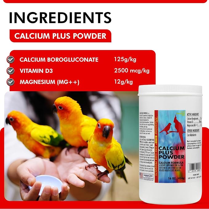 Morning Bird Calcium Plus Powder for Birds 16 oz – Calcium Supplement with Vitamin & Protein Powder – Supports Bone Health, Muscle Function & Digestive Balance – Easy-to-Mix Calcium Formula
