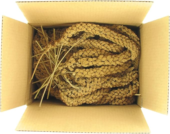 SLEEK & SASSY Golden Farms® Premium Millet Spray for Birds (2 Lbs.)