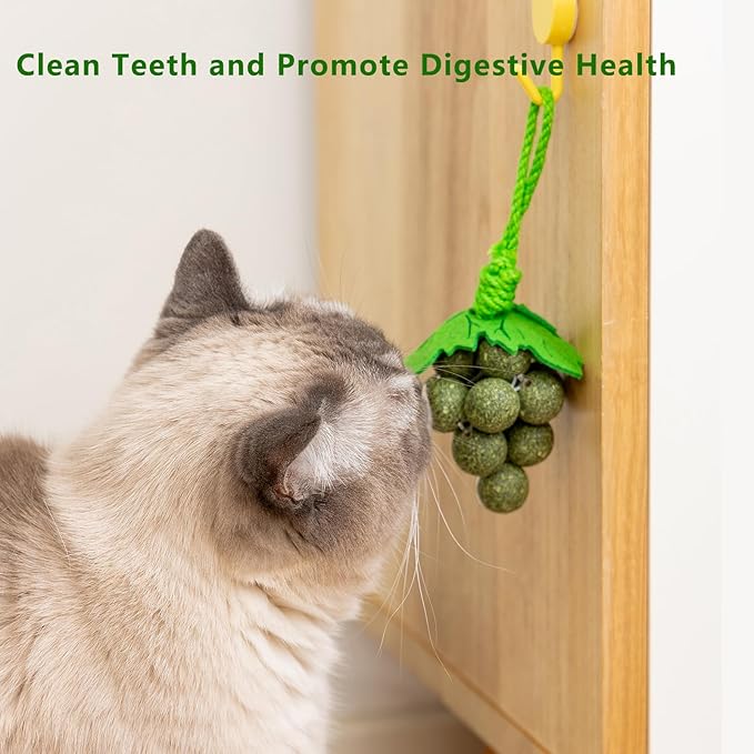 Cat Catnip Toys,2Pcs Catnip Ball for Cats,Toys for Indoor Cats,Cat Chew Exercise Toy for All Breeds and Species,Enhances Oral and Dental Health