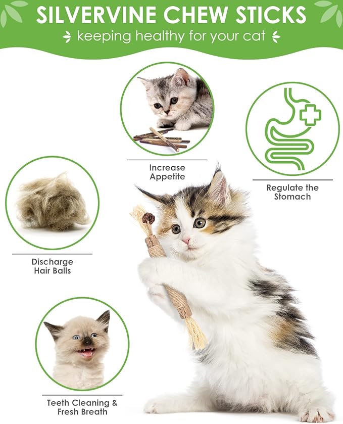 TINDTOP Cat Chew Toys, 12 Pack Silvervine Chew Sticks with 2 Pack Cage Balls for Kittens Teeth Cleaning, Matatabi Dental Care, Increase Appetite, Aggressive Chewers Cat Dental Toy