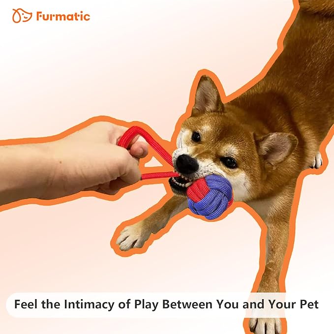 Rope Dog Toys for Small and Medium Dogs | Dog Toys for Aggressive Chewers | Dog Tug of War Toy for Interaction and Teeth Cleaning, Set of 3 Ropes