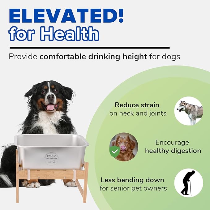 PEDAY 2.64 Gallon Raise Dog Water Bowl, Human Grade 18/8 Stainless Steel