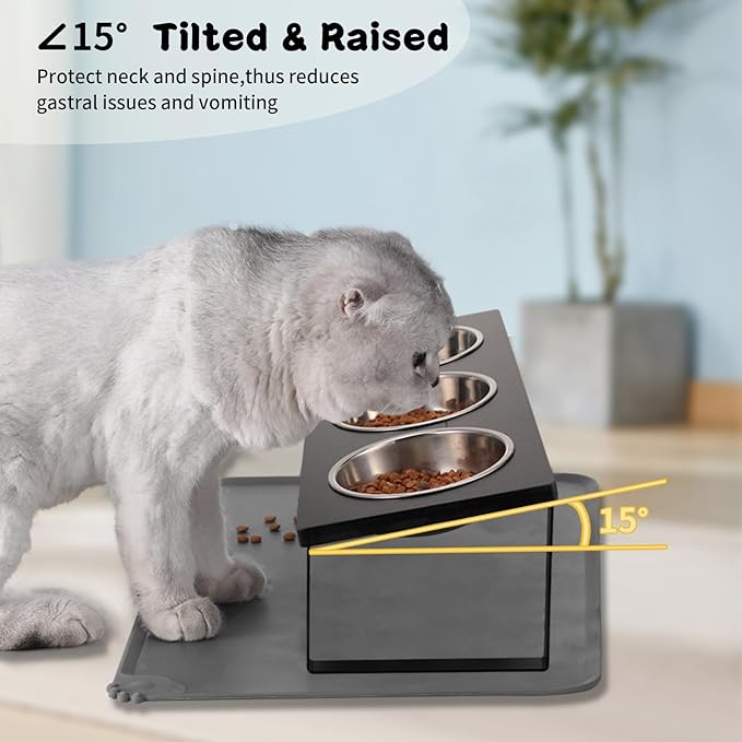 Upgraded Elevated Cat Bowls with Food Mat,15°Tilted Stand Anti Vomiting Raised Cat Dishes for Food and Water,3 Stainless Steel Bowls for Cats and Puppy（Black）