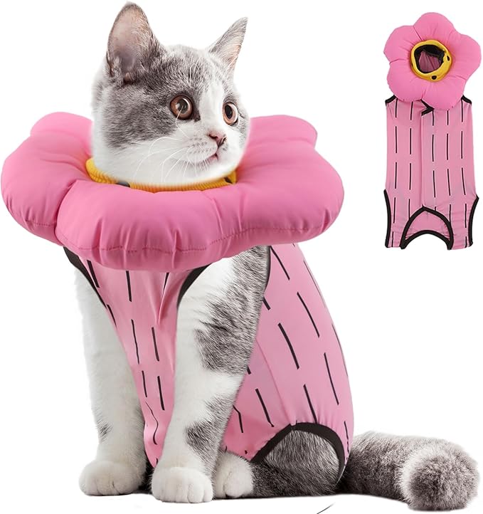 EMUST Cute Cat Recovery Suit & Cone Collar Set - Soft, Adjustable Flower Collar for Female Kittens Under 4lb (Pink, S)