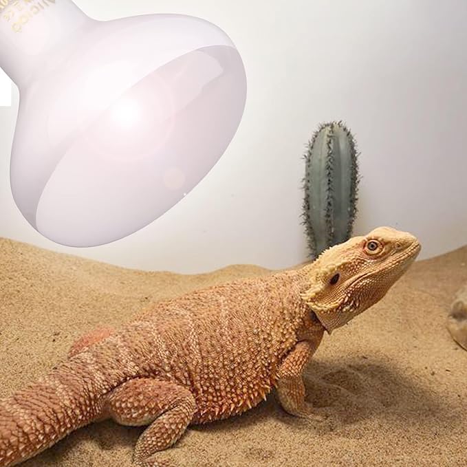Aiicioo Reptile Basking Light Bulb - 150W Reptile Heat Lamp 2 Pack UVA Daylight Amphibians Basking Bulb for Bearded Dragon Turtle Hermit Crab Gecko Lizard Chicken