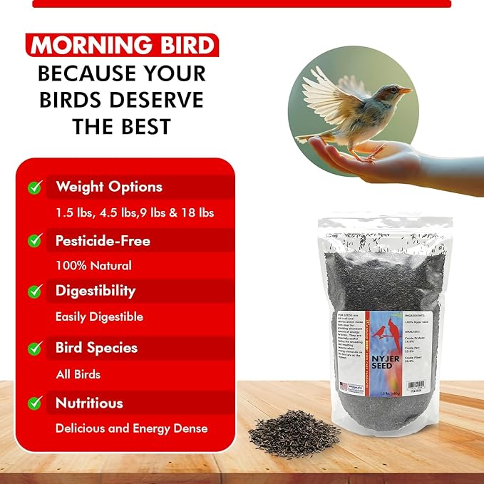 Morning Bird Nyjer Seed for Birds 1.5 lbs – Energizing Nutrition with Rich in Vitamins and Supplements – Ideal Bird Food for Breeding & Molting – Nyjer & Finch Seed for All Birds