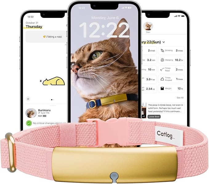 Health Tracker for Cats - Smart Cat Collar with Safety Breakaway Buckle for Indoor Cats, Wellness Alerts, Real-time Monitoring (Sakura, L)