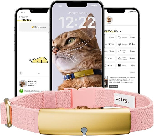 Health Tracker for Cats - Smart Cat Collar with Safety Breakaway Buckle for Indoor Cats, Wellness Alerts, Real-time Monitoring (Sakura, XL)