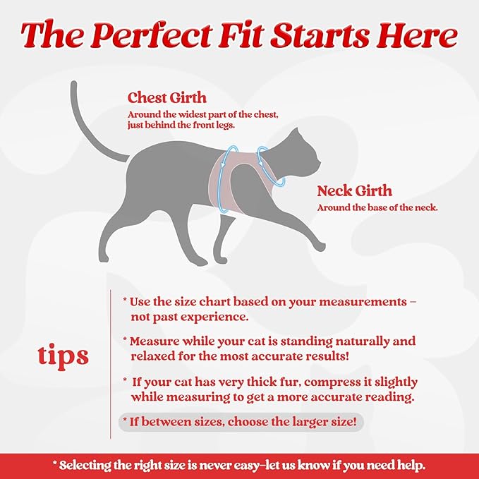 rabbitgoo Cat Harness and Leash Set for Walking Escape Proof, Adjustable Soft Kittens Vest with Reflective Strip for Cats, Comfortable Outdoor Vest, Red, S