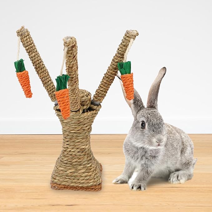 Hypeety Natural Rattan Carrot Chew Toy for Rabbits Durable Bunny Toys for Indoor Bunnies Safe Chewing and Climbing Enrichment