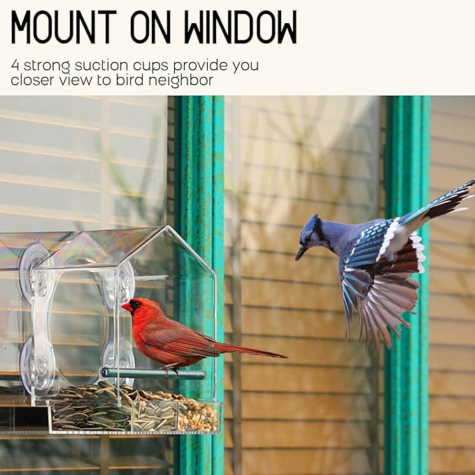 Mrcrafts Window Bird Feeder for Outside with Strong Suction Cups, Fits for Cardinals, Finches, Chickadees etc.