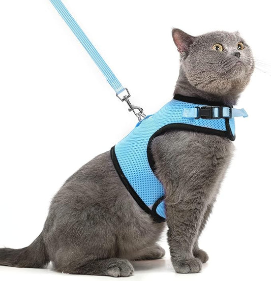 PUPTECK Soft Mesh Cat Vest Harness and Leash Set Puppy Padded Pet Harnesses Escape Proof for Cats Small Dogs, Blue Large