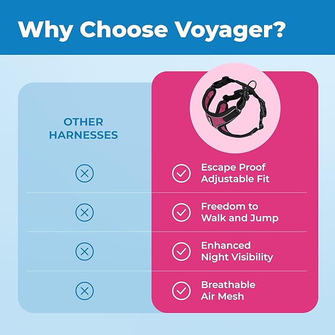 Voyager Escape Proof Cat Harness and Leash Set with Reflective Stitching, Neoprene Handle 5ft - Supports Small, Medium and Large Cats, Kittens for Walking by Best Pet Supplies - BT-Fuchsia, XXS