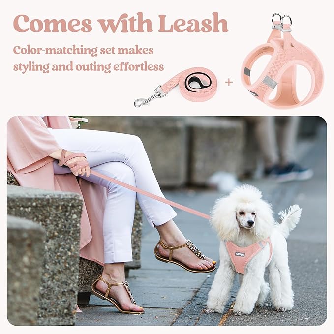 rabbitgoo Dog Harness Small Medium Sized and Leash Set, Step in Soft Light Puppy Vest, Breathable Mesh Pet Harness, Reflective for Safe Outdoor Walking, Pink L