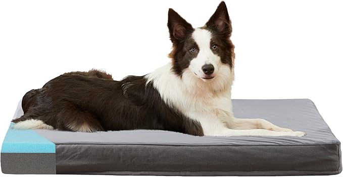 Orthopedic Memory Foam Bed for Large Dogs, Waterproof Cooling Pet Mats for Crate with Removable Washable Cover,Ideal for Arthritic Dogs (Large plus-36"x 27" x 3", Short Plush)