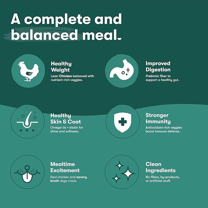 Jinx Bone Broth Stew for Dogs, Variety Pack - Chicken & Salmon Recipes - Grain-Free Wet Dog Food & Topper for Picky Eaters - Promotes Lean Muscle Growth, Healthy Coat & Digestion - 13 Oz, 12 Pack