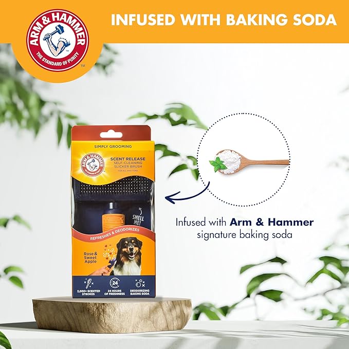 Arm & Hammer “Simply Glam” Dog Grooming Slicker Deodorizing Brush with Fragrance Transfer Technology – Scented Self-cleaning Slicker Brush for Shedding, Scented for Dogs with Sweet Apple & Rose Scent