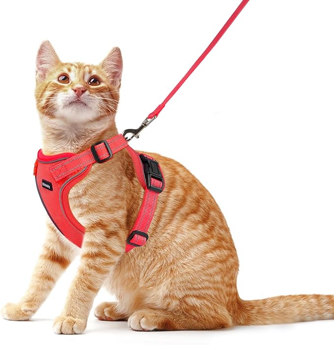 Rttochfy Cat Harness and Leash Set, Adjustable and Reflective Cat Vest, Escape Proof Kitten Harness, Easy to Put on with 3 Buckles for Cats Walking and Traveling (Red, M)