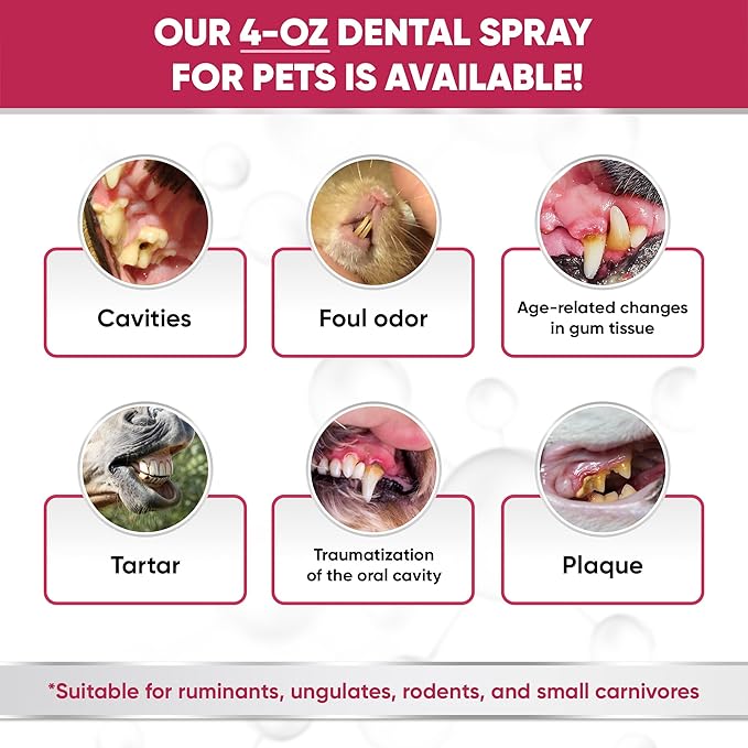 Dental Spray for Pets – Cat & Dog Breath Freshener That Helps with Tartar, Plaque, & Bad Odor – Silver 50 PPM + Valerian Flavour for Dog Teeth Cleaning – 4 Oz