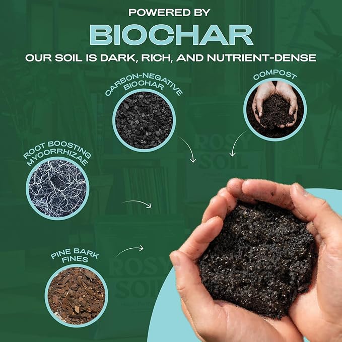 Rosy Soil Indoor Potting Soil for House Plants, 2 x 8 qrt - Organic Potting Soil Mix for Indoor Plants -Enriched w/Root-Boosting Biochar for Foliage Plants, Flowers, Herbs - Pack of 2