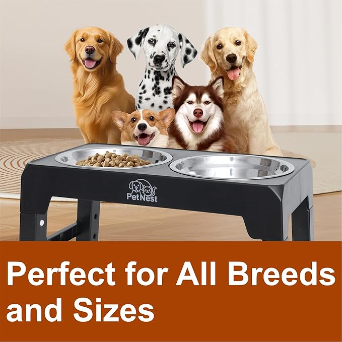 PETNEST Adjustable Elevated Dog Bowls with Two Stainless SteelBowls | Food Bowl Stand for Small, Large Breed | Raised Food Feeder | Raised Pet Bowls | Dog Bowls Elevated Stand 4 Adjustable Heights