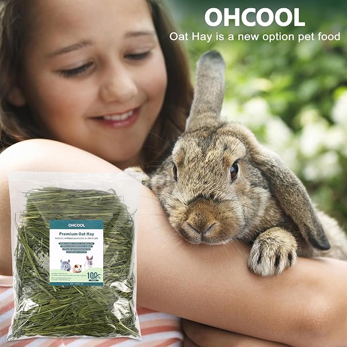 Premium Oat Hay for Pets - Dust Free Natural Green Fresh Pet Food Hay for Rabbits, Guinea Pigs, Chinchillas, Hamsters & Gerbils - 6.6 lbs