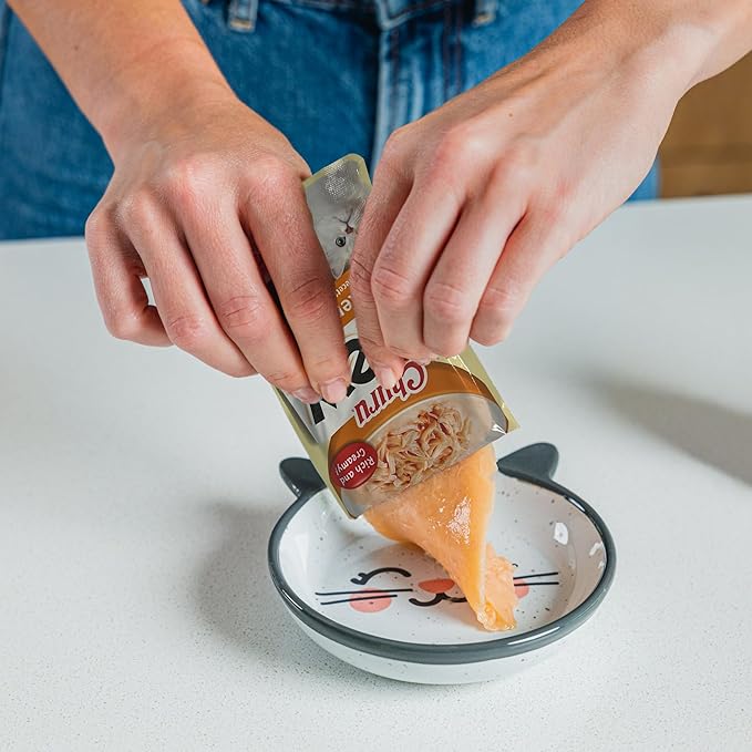 INABA Churu Stew for Cats, Side Dish Pouch with Vitamin E, 1.4 Ounces per Pouch, 12 Pouches, Chicken with Salmon Recipe