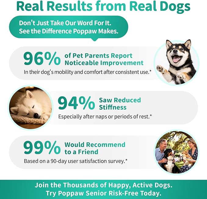 Advanced Dog Joint Supplement – 15-in-1 Glucosamine for Dogs with Chondroitin, MSM & Green Lipped Mussel – Hip & Joint Pain Relief Mobility Chews, Beef Flavor, 90Ct Breeds