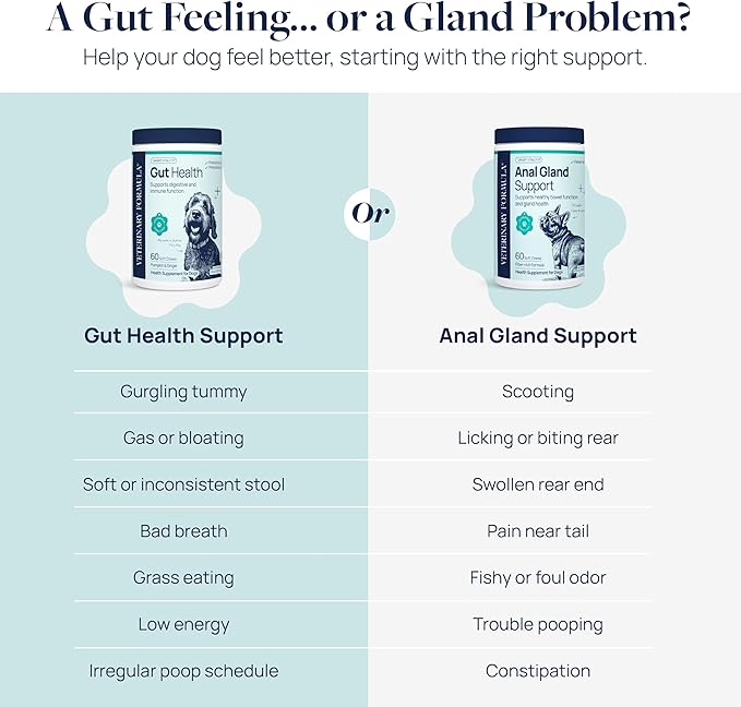 Veterinary Formula Anal Gland Support for Dogs – Vet-Formulated No Scoot Chews with Pumpkin, Ginger, Agave Inulin & Probiotics – Supports Scooting, Stool Quality & Digestive Health, 60 Soft Chews