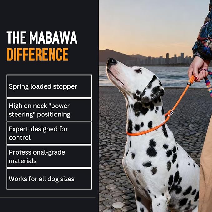 Dog Anti-Slip Leash 5FT with Metal Stopper - Durable No-Pull Training Lead for Small, Medium & Large Dogs - Comfortable Handle Nylon Rope, Tangle-Free Pet Walking Leash (Purple, 5 FT)