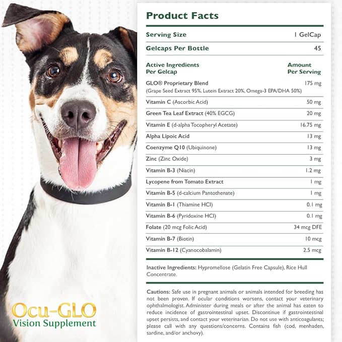 Ocu-GLO Vision Supplement for Small Dogs by Animal Necessity with Lutein, Omega-3 Fatty Acids, Grape Seed Extract and Antioxidants to Promote Eye Health in Dogs, 45ct Liquid Gelcaps
