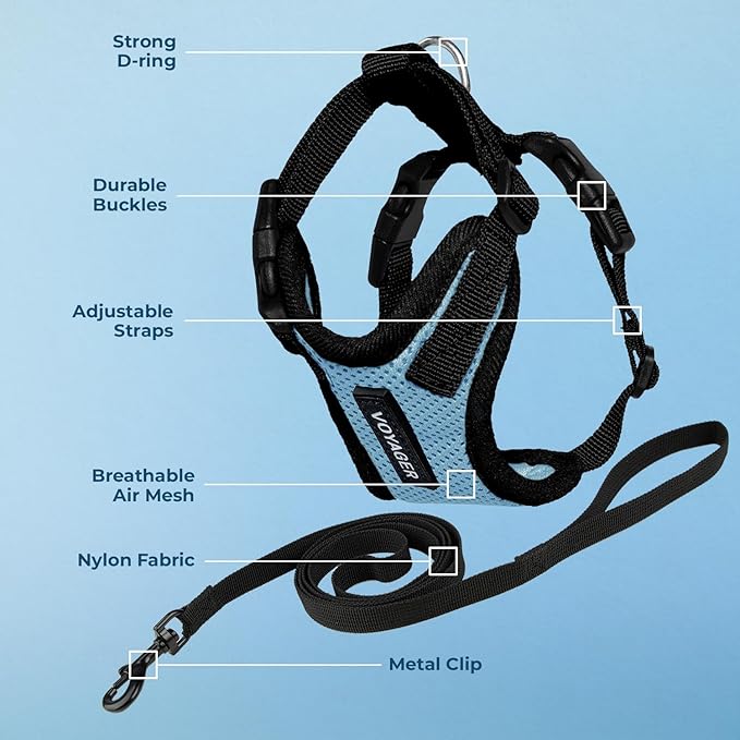 Voyager Step-in Lock Adjustable Cat Harness w. Cat Leash Combo Set with Neoprene Handle 5ft - Supports Small, Medium and Large Breed Cats by Best Pet Supplies - Baby Blue/Black Trim, XXS