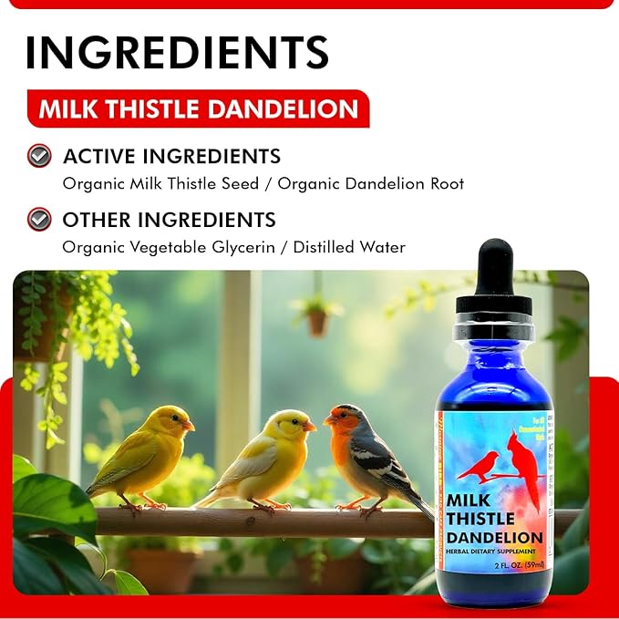 Morning Bird Milk Thistle & Dandelion Extract 2 fl oz - Organic Bird Supplement for Optimal Health – Support Liver Heath & Promotes Detox - Suitable for All Birds Species