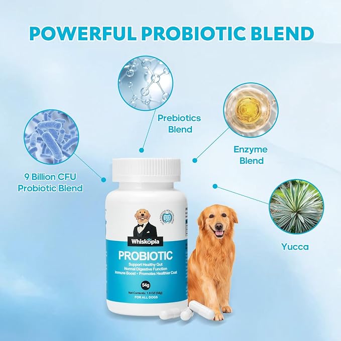Probiotics for Dogs, Dog Probiotics with Digestive Enzymes with and Prebiotics for Support Gut & Digestion Health, Immune Support, Reduce Diarrhea, 120 Capsules