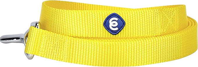 Blueberry Pet Essentials Blazing Yellow Dog Leash for X-Small -5' * 3/8" Dogs | Heavy Duty Nylon Lead | Lightweight Puppy & Cat Leash for Walking & Training