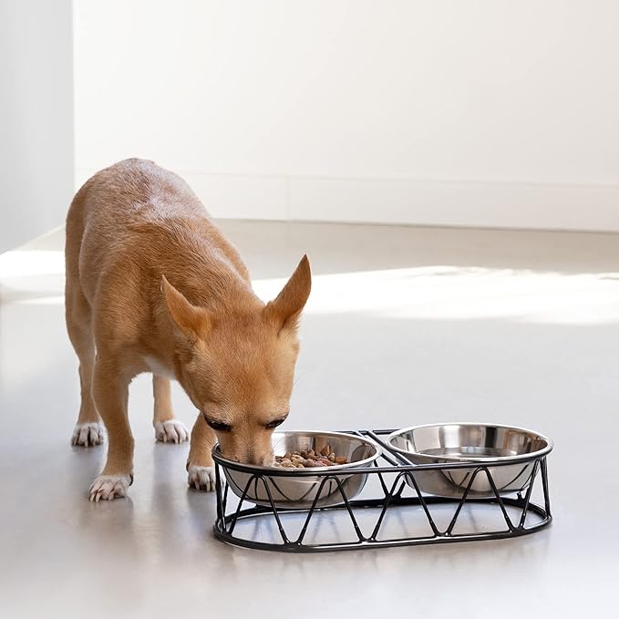 Navaris Stainless Steel Dog Bowls - Cat Food Bowls with Stand - Elevated Double Bowl and Holder for Cats & Small Dogs Raised Metal Wire Stand - Black