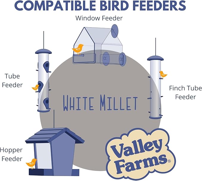 Valley Farms White Millet Wild Bird Seed 5 LB 2-Pack (10 LB Total) for Outside feeders, White proso Millet, Bird Watcher Secret Wild Bird Food