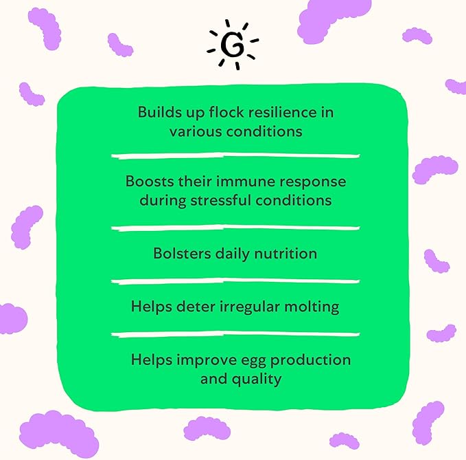 Grubbly Farms Vitamins + Electrolytes Water Supplement for Chickens (30 Day)